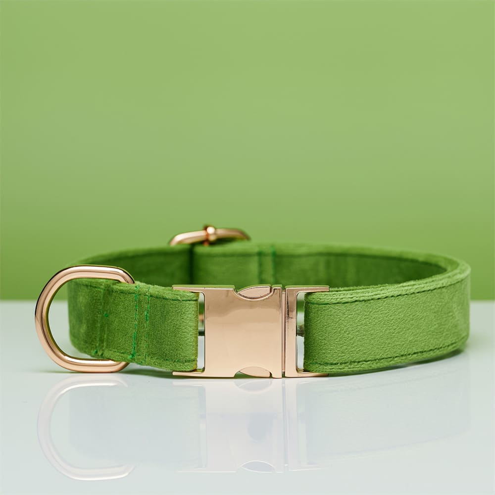 Collar Apple Green-L 2.5X40to60CM