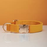 Collar Corn Yellow-L 2.5X40to60CM