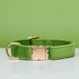 Collar Apple Green-L 2.5X40to60CM