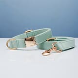 Rope Collar Light Water Green-S  2.0X30to40CM