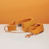 Rope Collar Corn Yellow-M 2.0X35to50CM