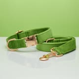 Rope Collar Apple Green-L 2.5X40to60CM