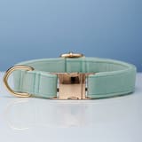Collar Light Water Green-S  2.0X30to40CM