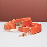 Rope Collar Coral Orange-M 2.0X35to50CM