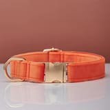 Collar Coral Orange-M 2.0X35to50CM