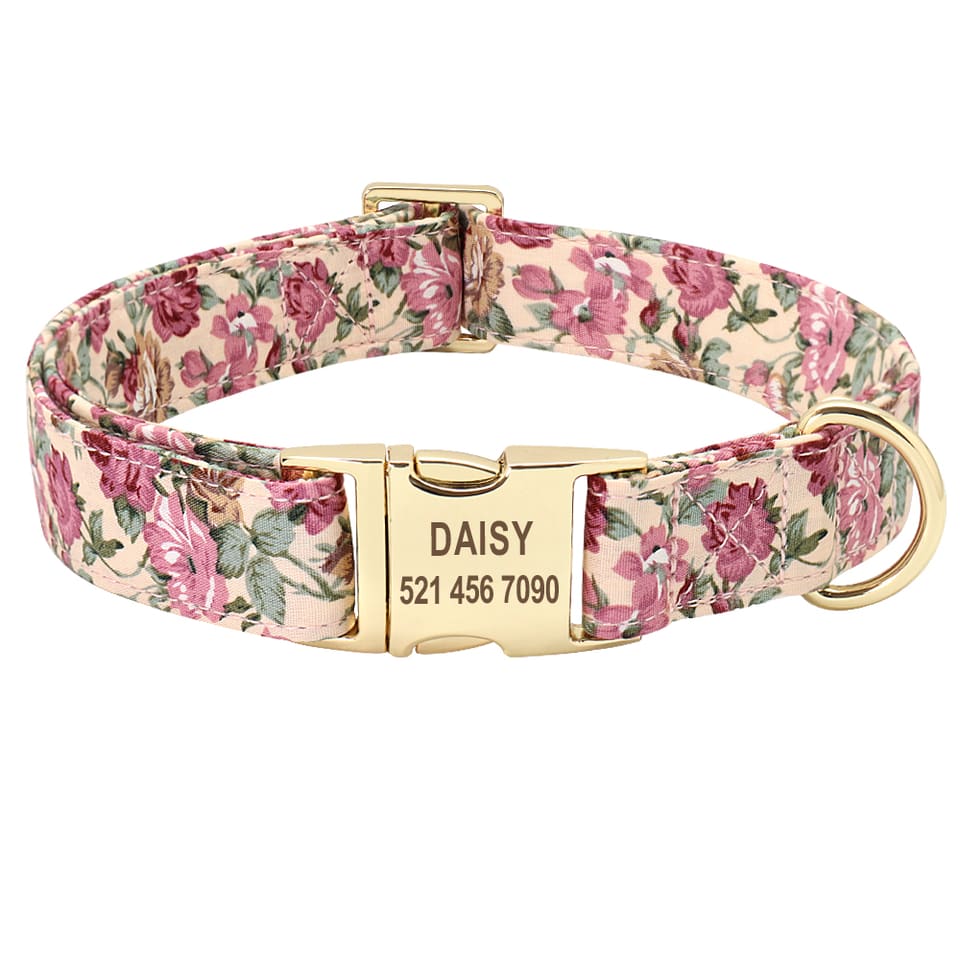Call Them Home Dog Collar — Sand · Collar · M