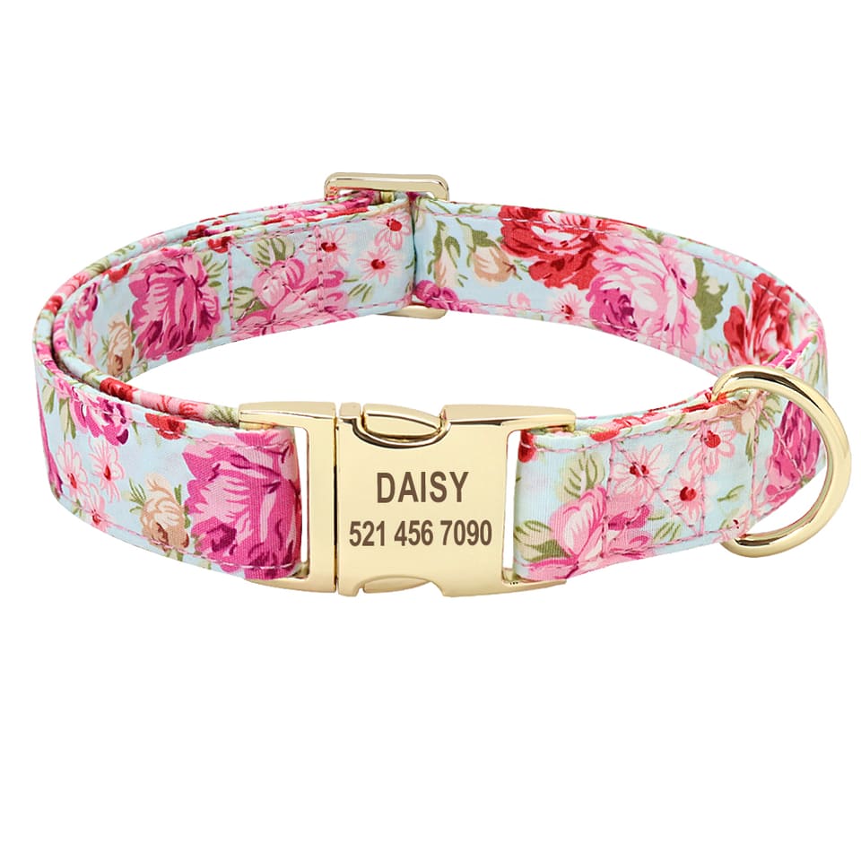 Call Them Home Dog Collar — Blush · Collar · M
